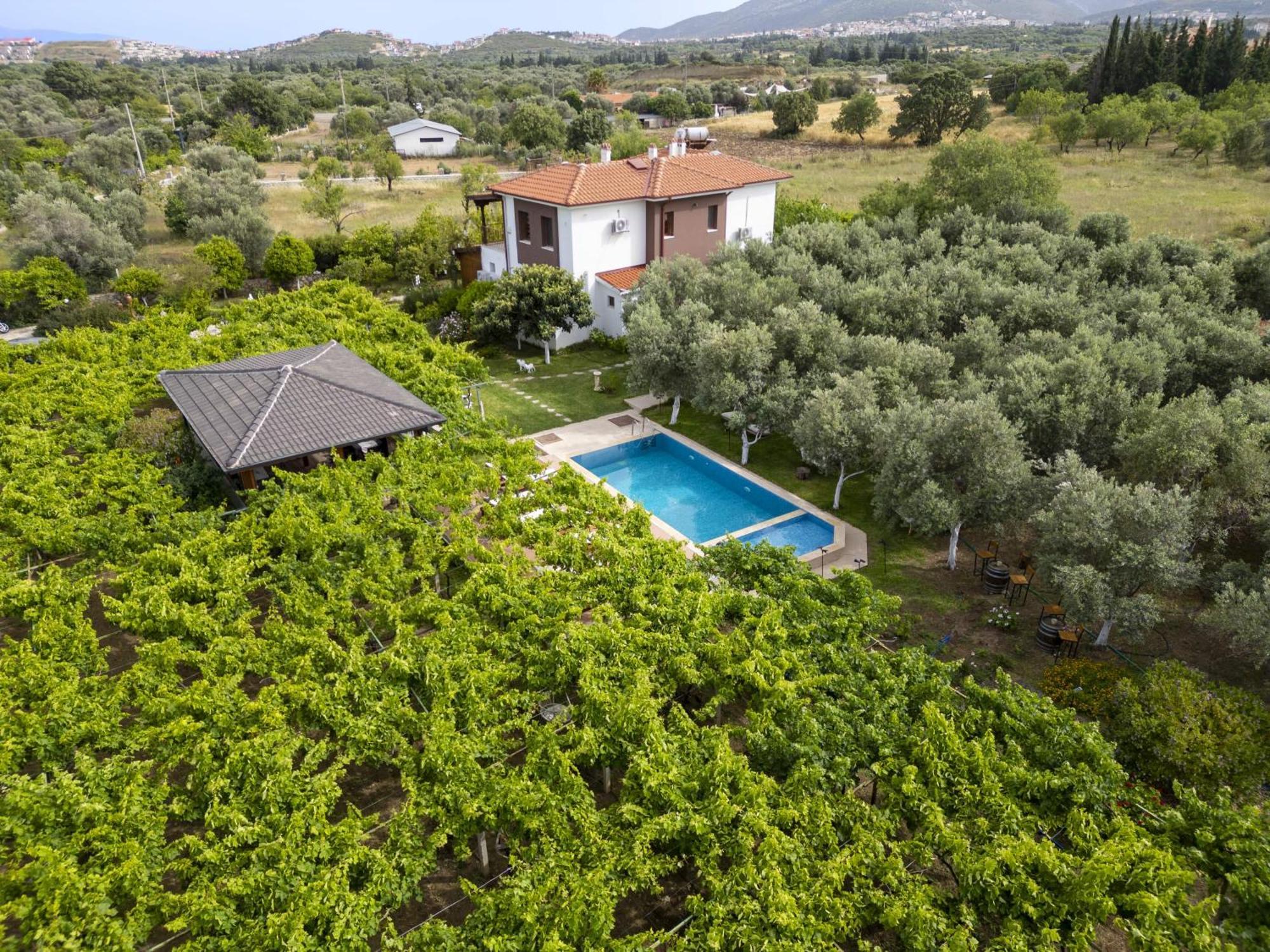 Grape Datca Hotel Kizlan Bagian luar foto